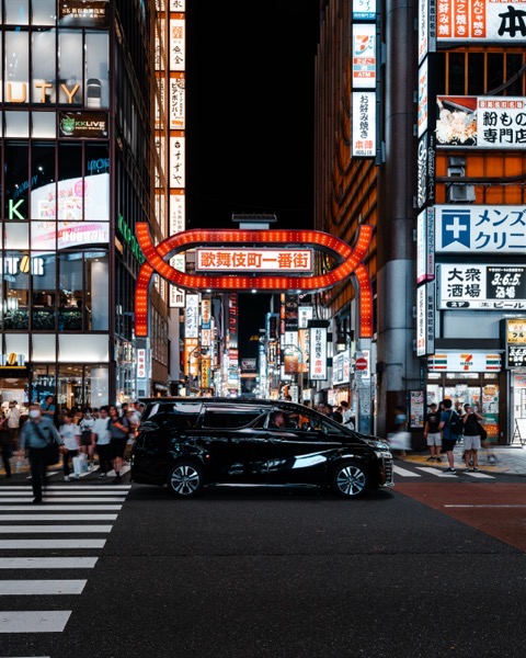 Vehicle (Toyota Vellfire)