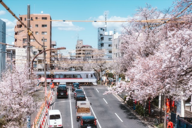 風景写真（日本）