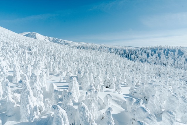 Aerial photography (drone) in Japan