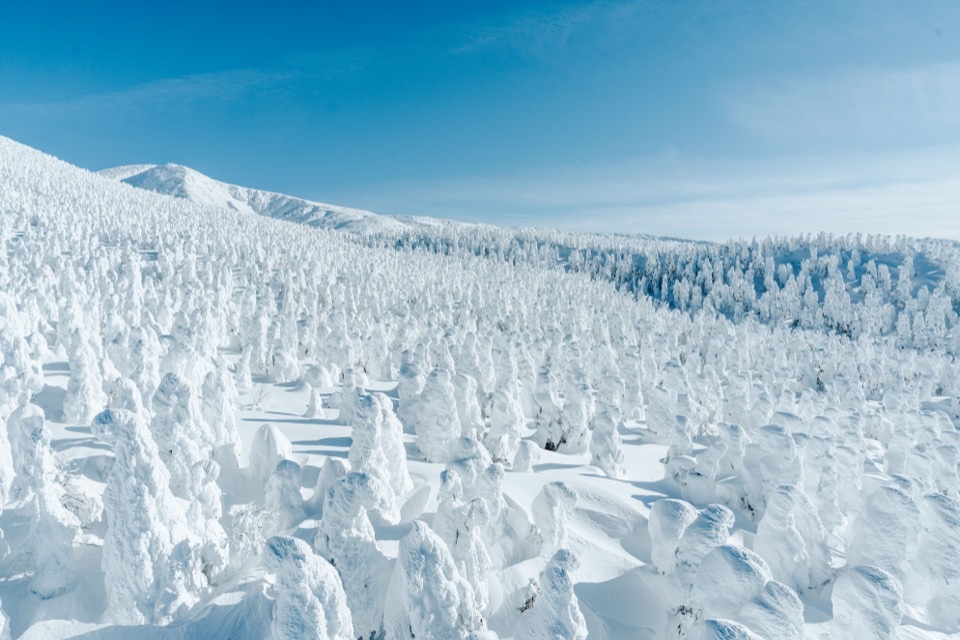 Aerial photography (drone) in Japan