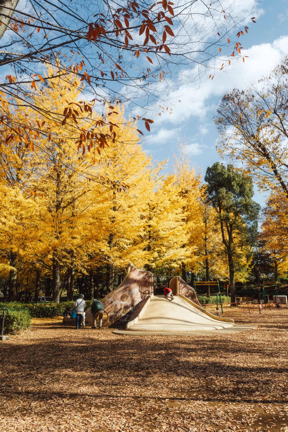 Kamakura & Enoshima photoshoot