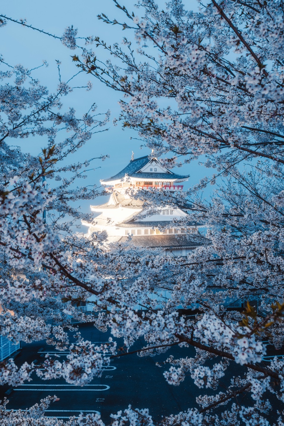 Landscape photography in Japan