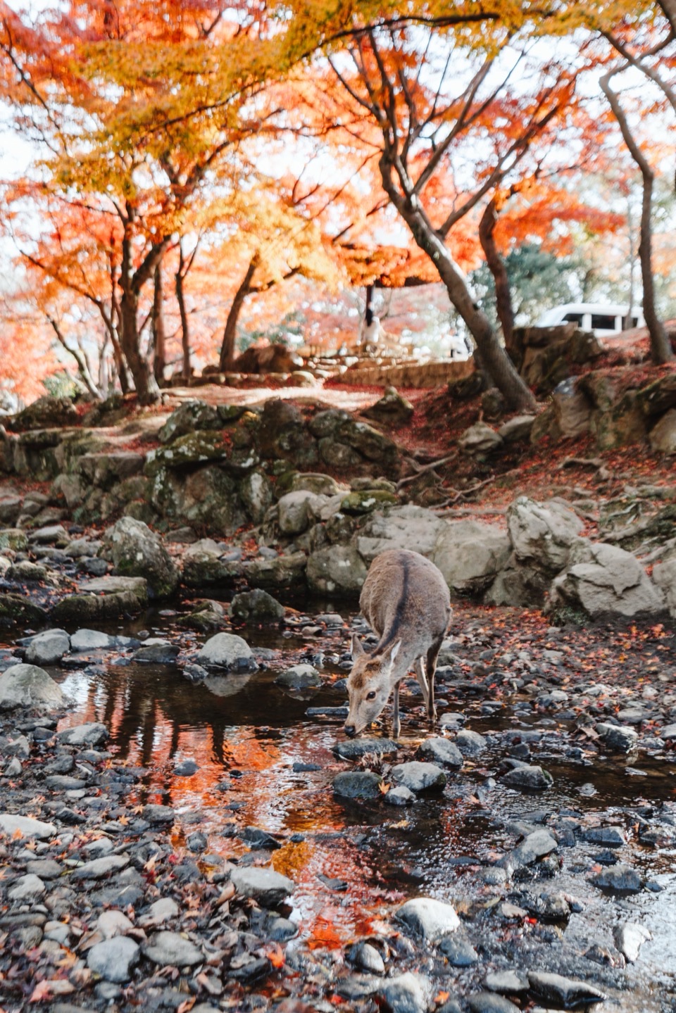 Landscape photography in Japan