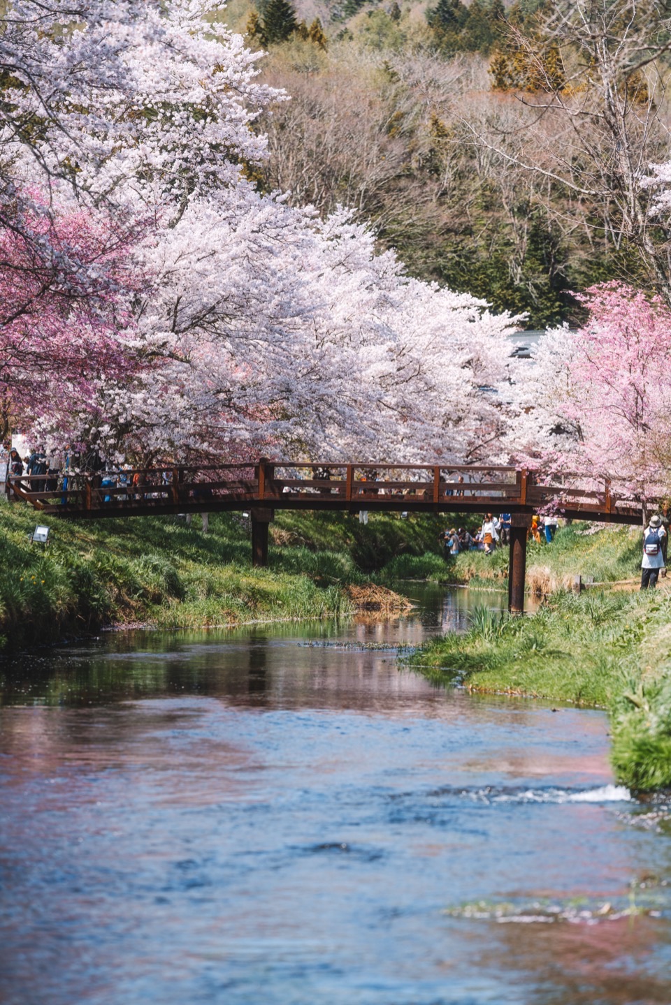 Landscape photography in Japan