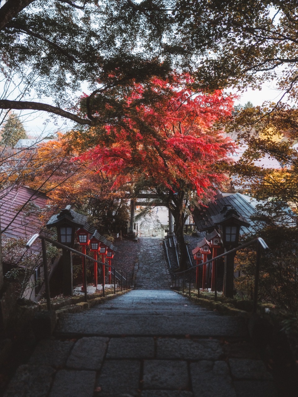 Landscape photography in Japan