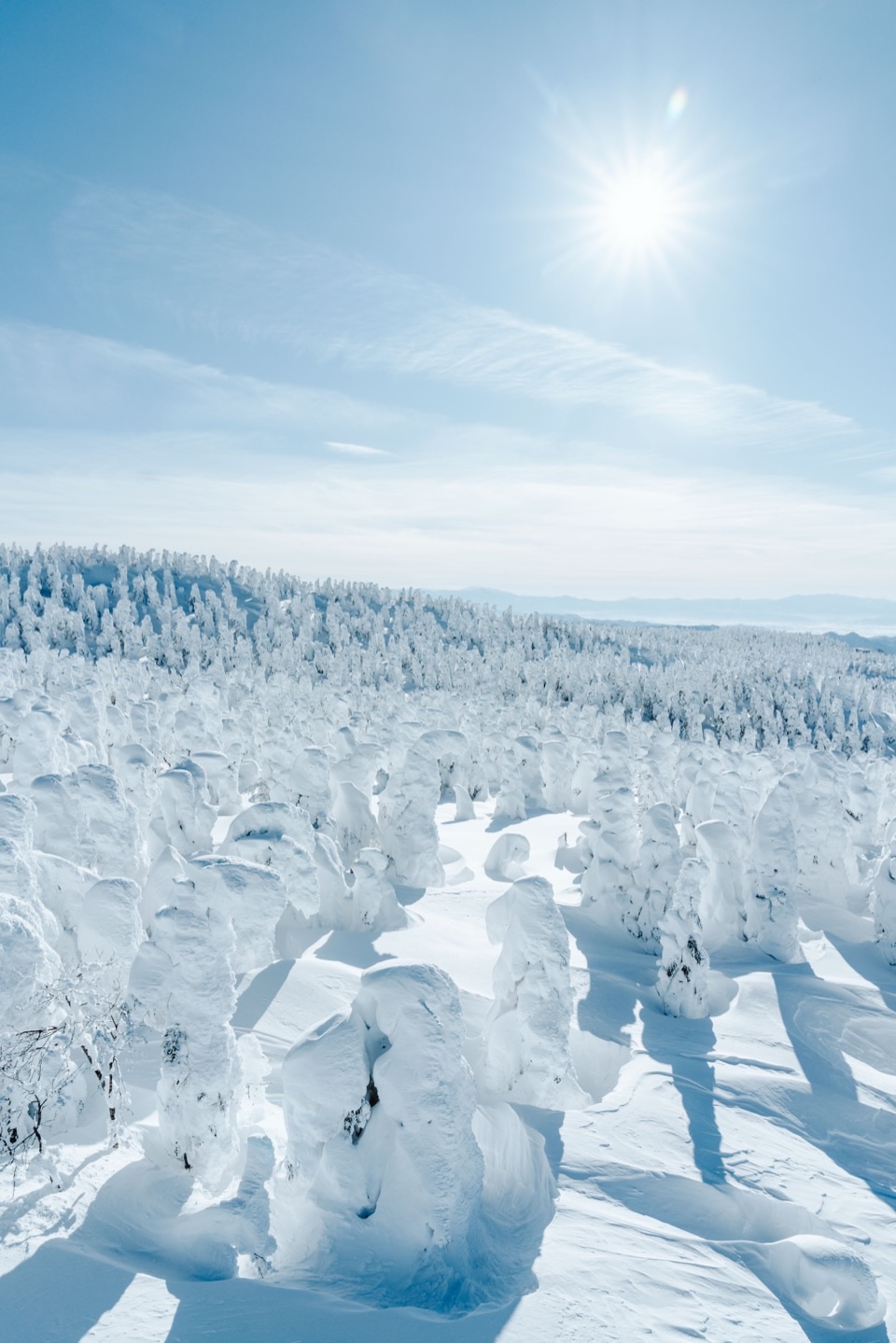 Landscape photography in Japan