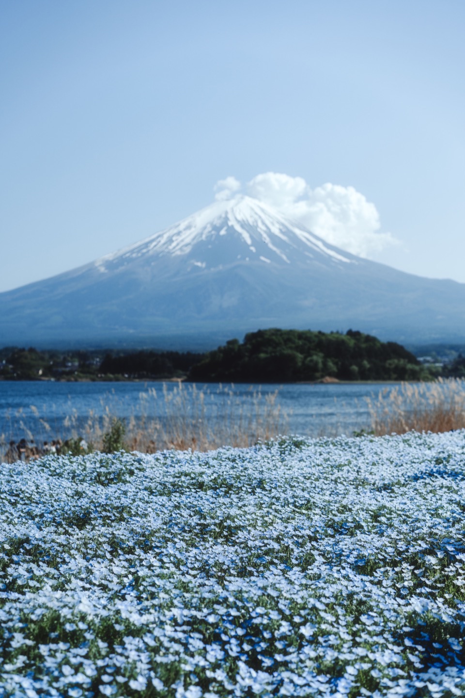 Landscape photography in Japan