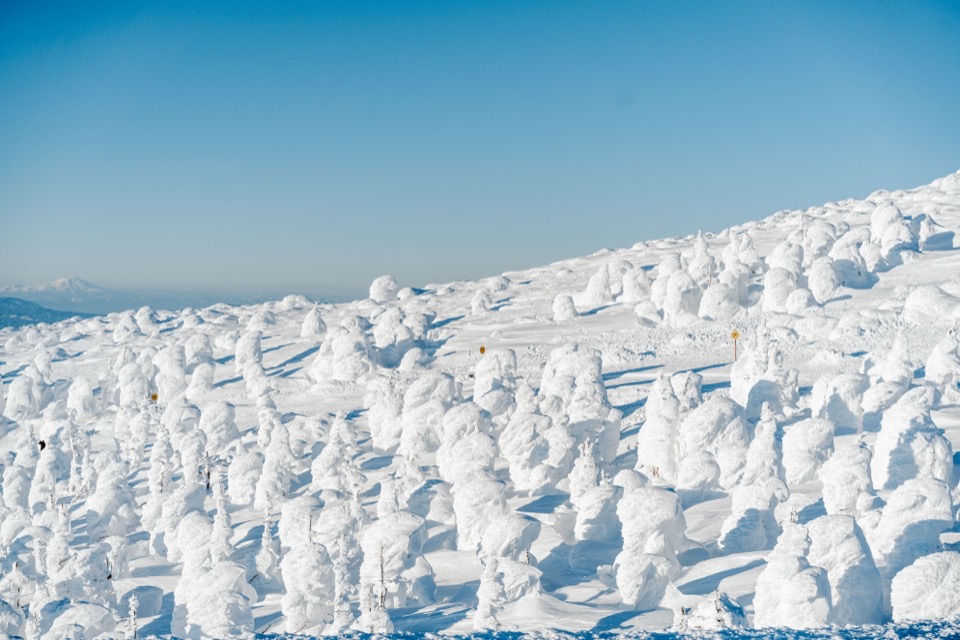 Landscape photography in Japan