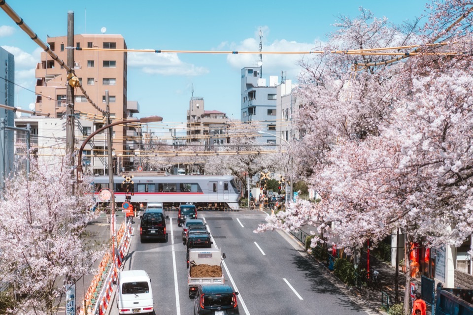Landscape photography in Japan