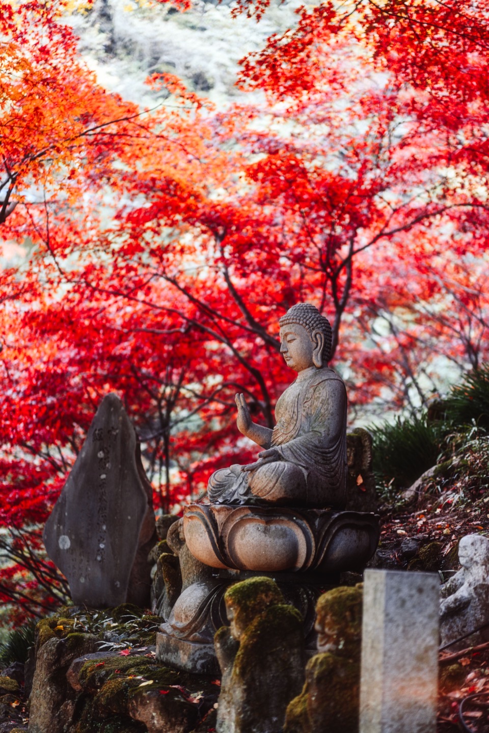 Landscape photography in Japan