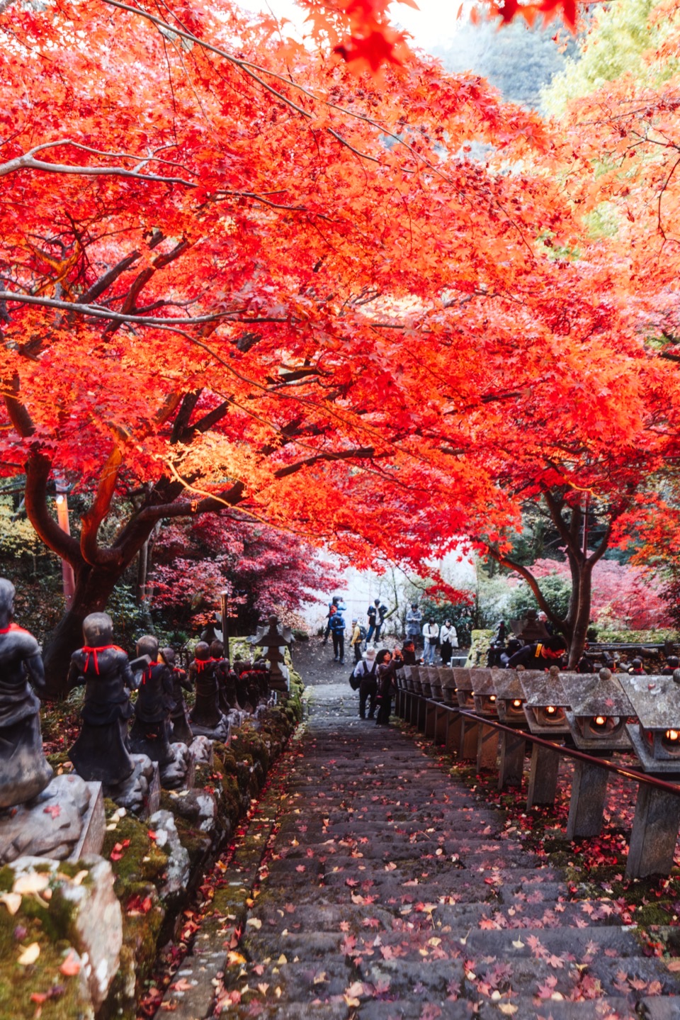Landscape photography in Japan