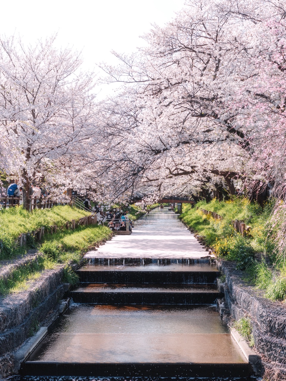 Landscape photography in Japan