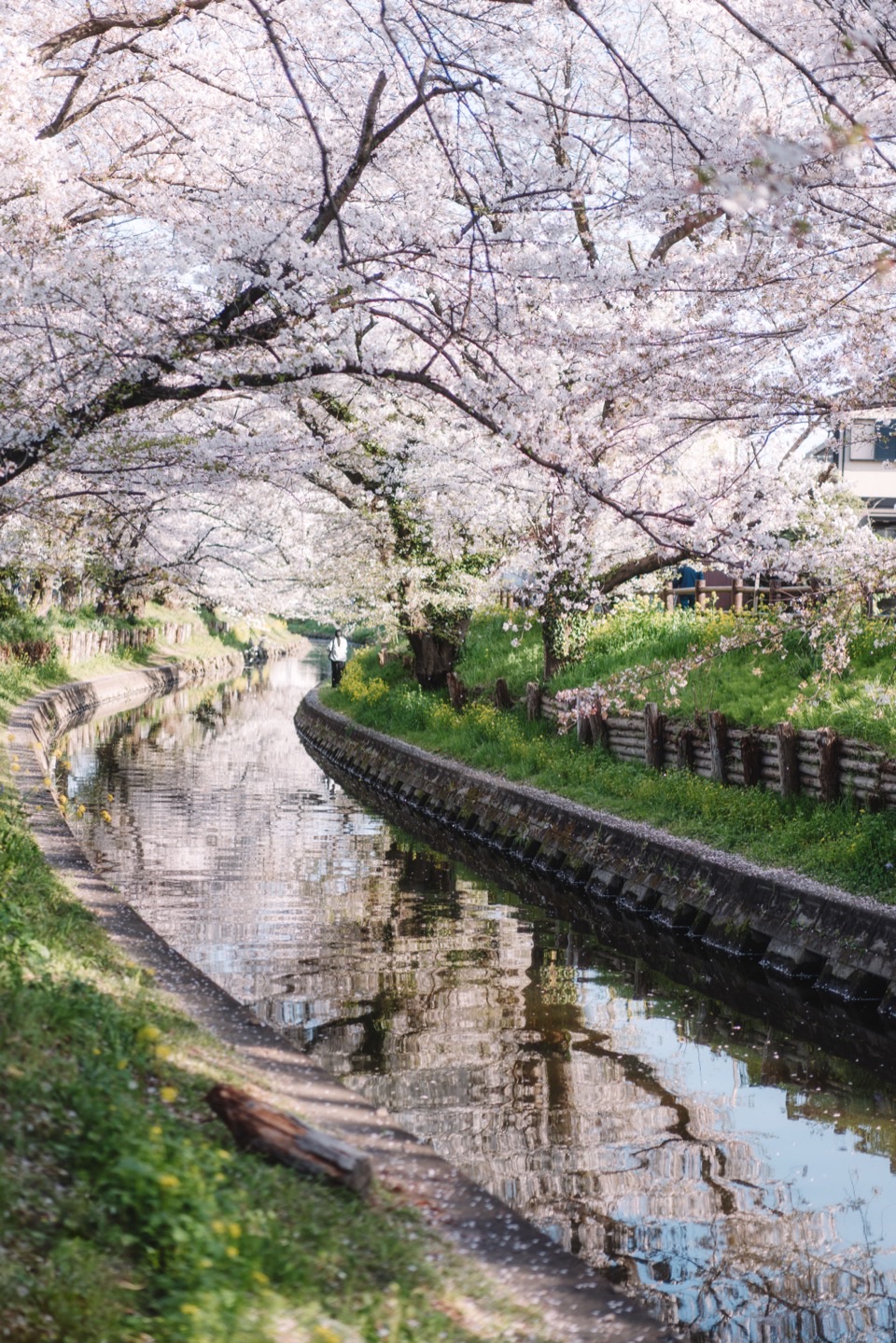 Landscape photography in Japan
