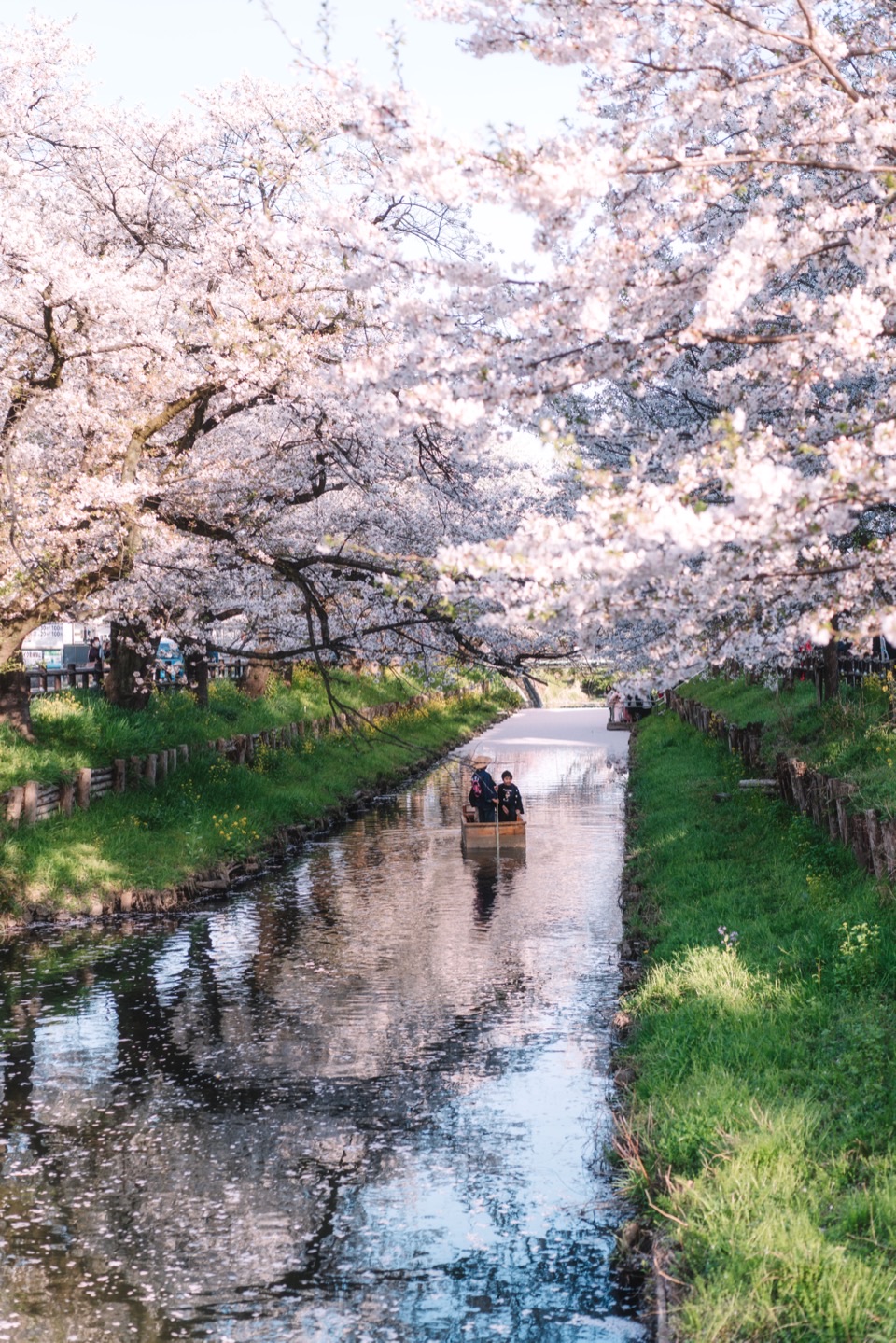 Landscape photography in Japan