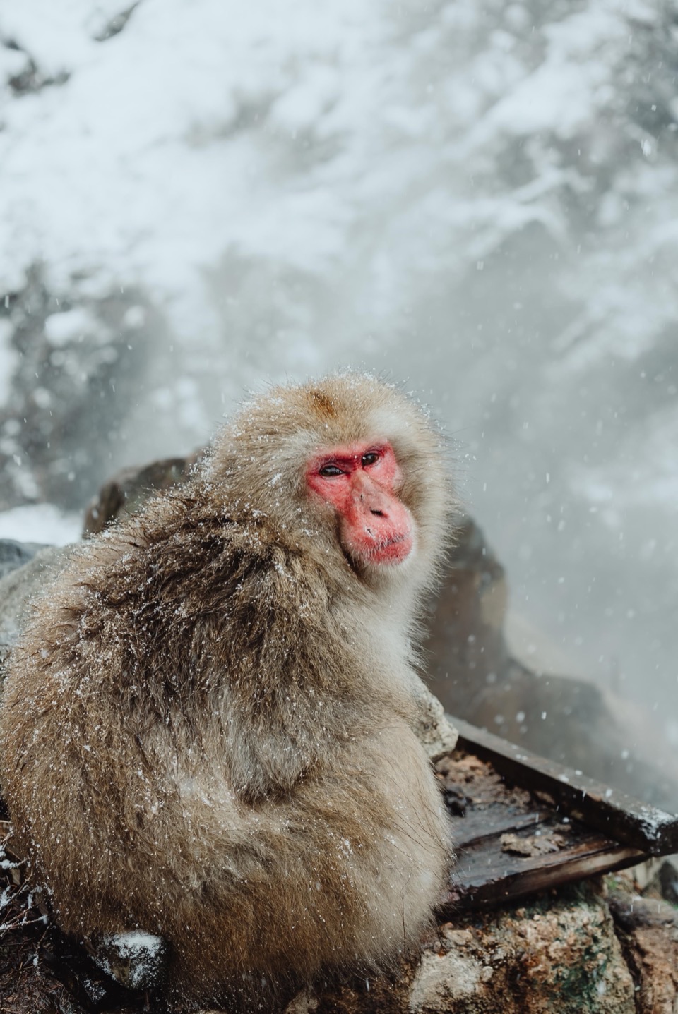 Photography works in Japan