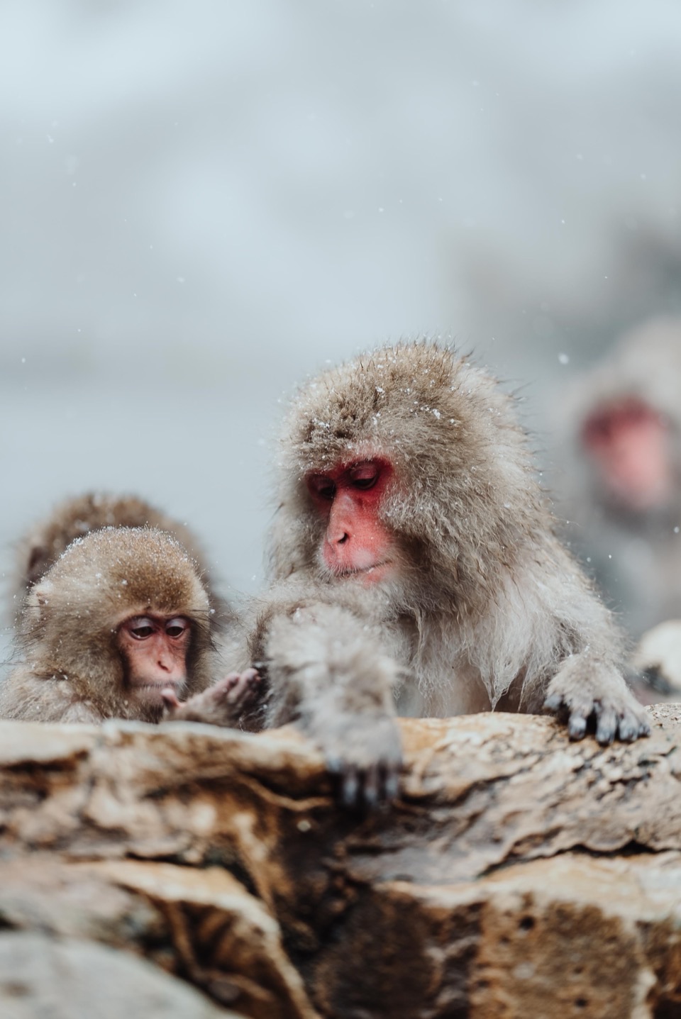 Photography works in Japan