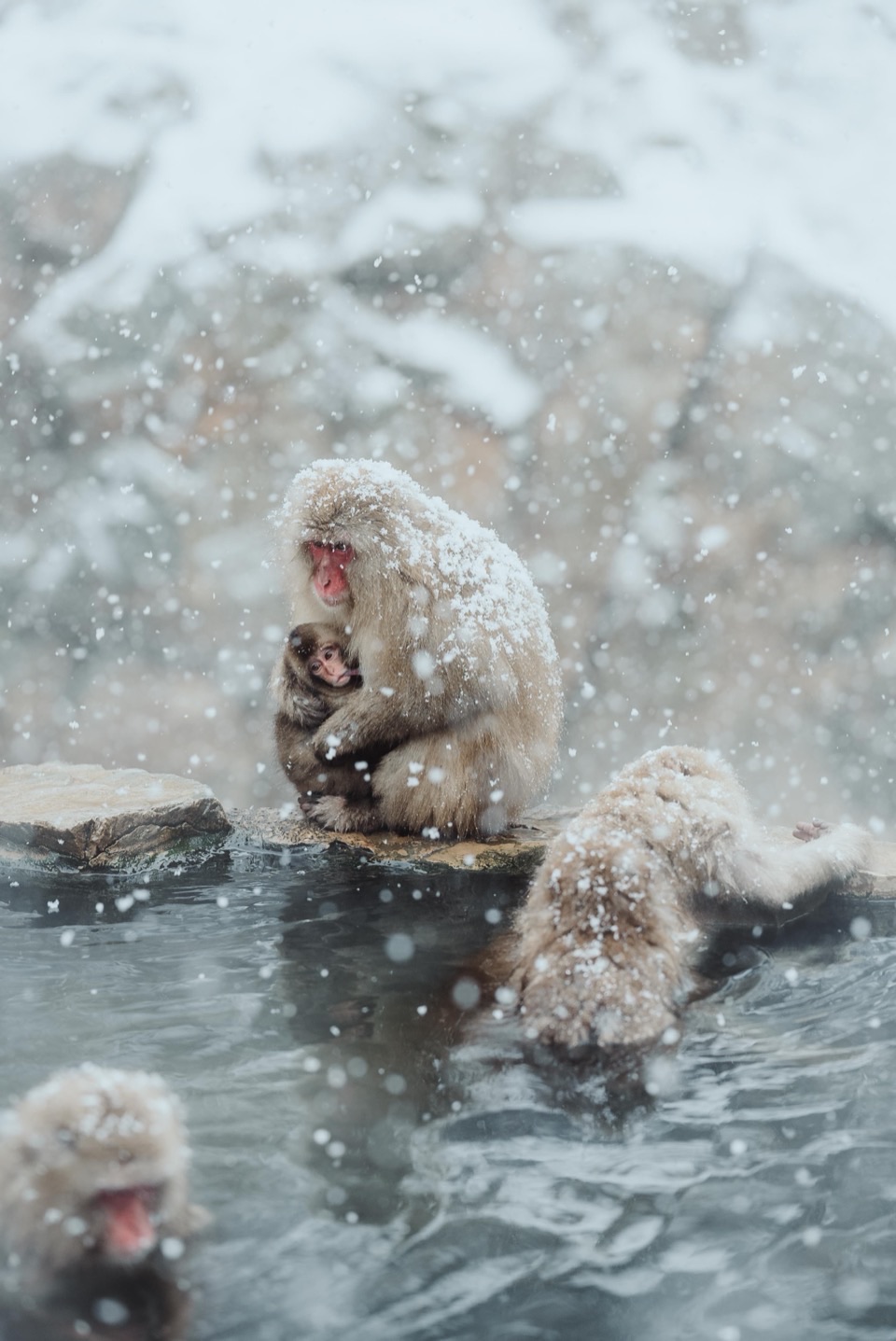 Photography works in Japan