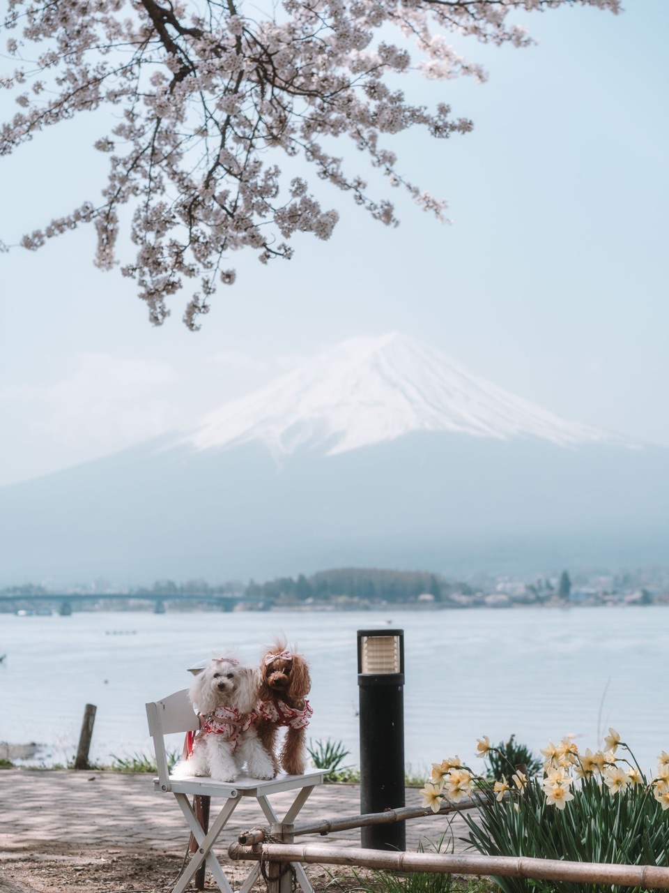 Photography works in Japan