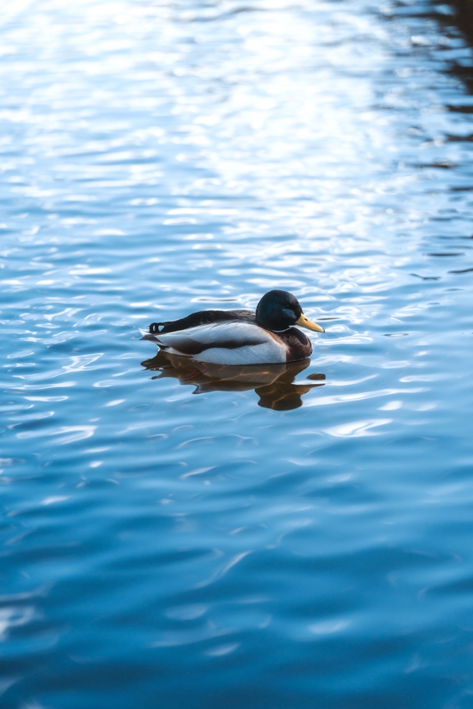 Photography works in Japan
