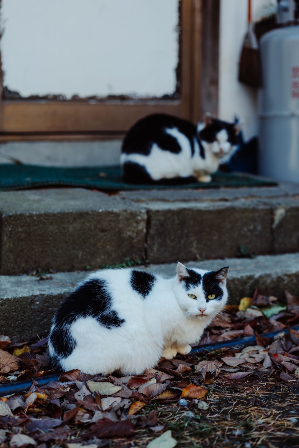 Photography works in Japan