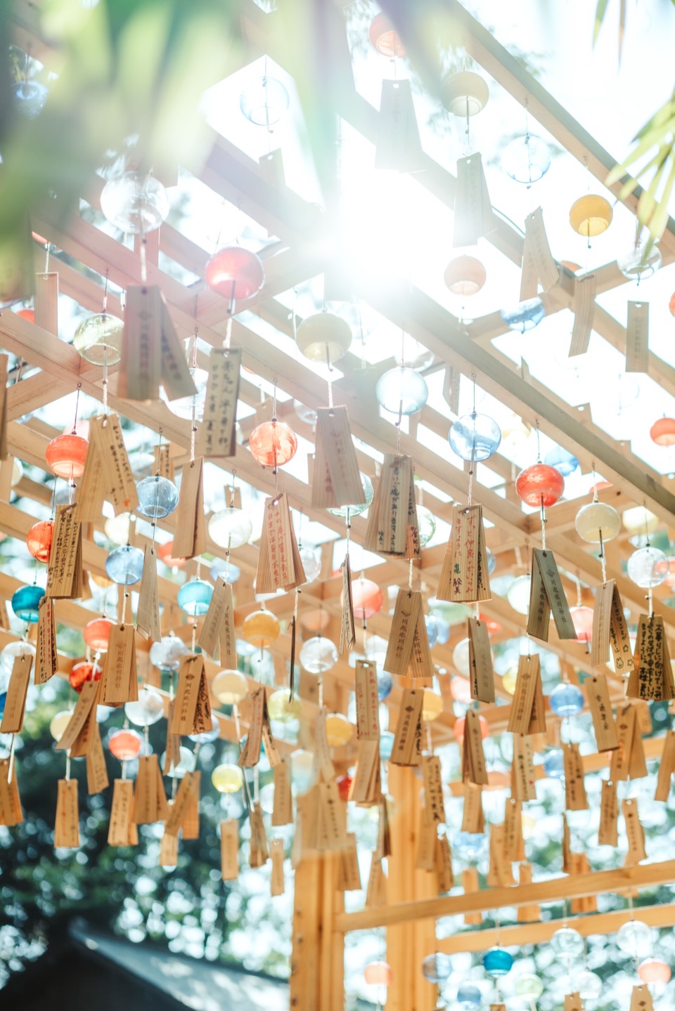 Photography works in Japan