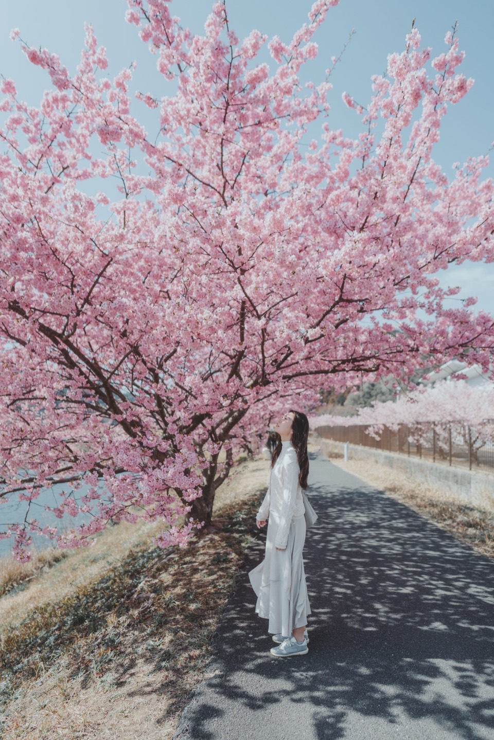 People portrait photoshoot in Tokyo