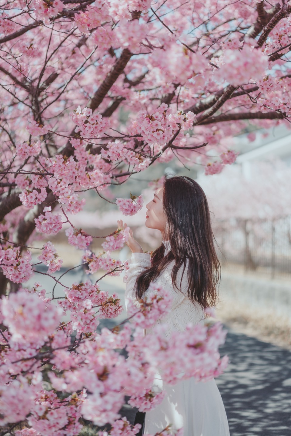 People portrait photoshoot in Tokyo